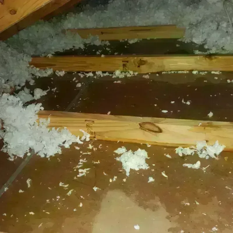 Attic Water Damage in River Vale, NJ