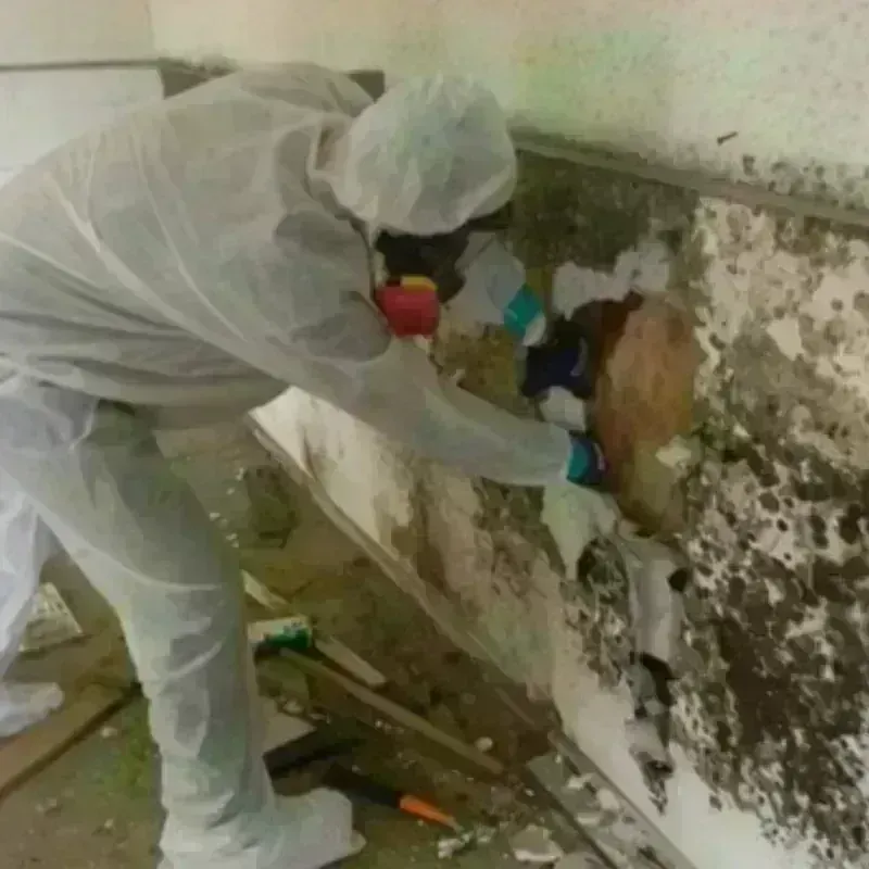 Mold Remediation and Removal in River Vale, NJ